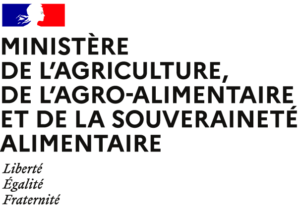 Appel à vigilance chenilles processionnaires – juin 2026