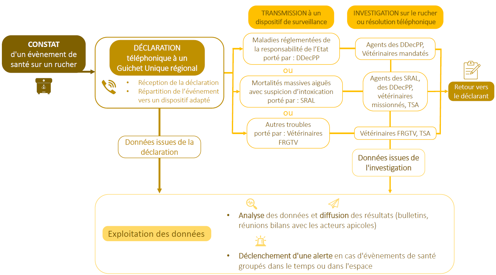 Schéma qui explique le fonctionnement de l'observatoire des mortalités et des affaiblissements de l'abeille mellifère OMAA